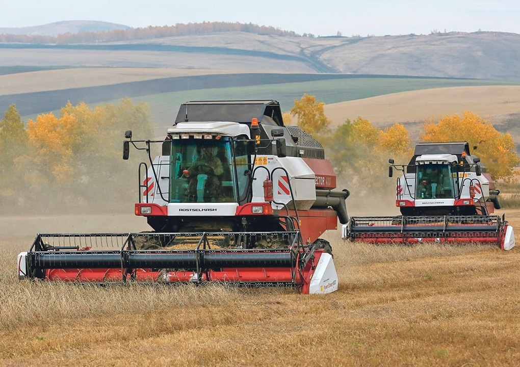 Latin American Soybean Farmers Face Market Shifts Amid Prolonged US-China Trade War