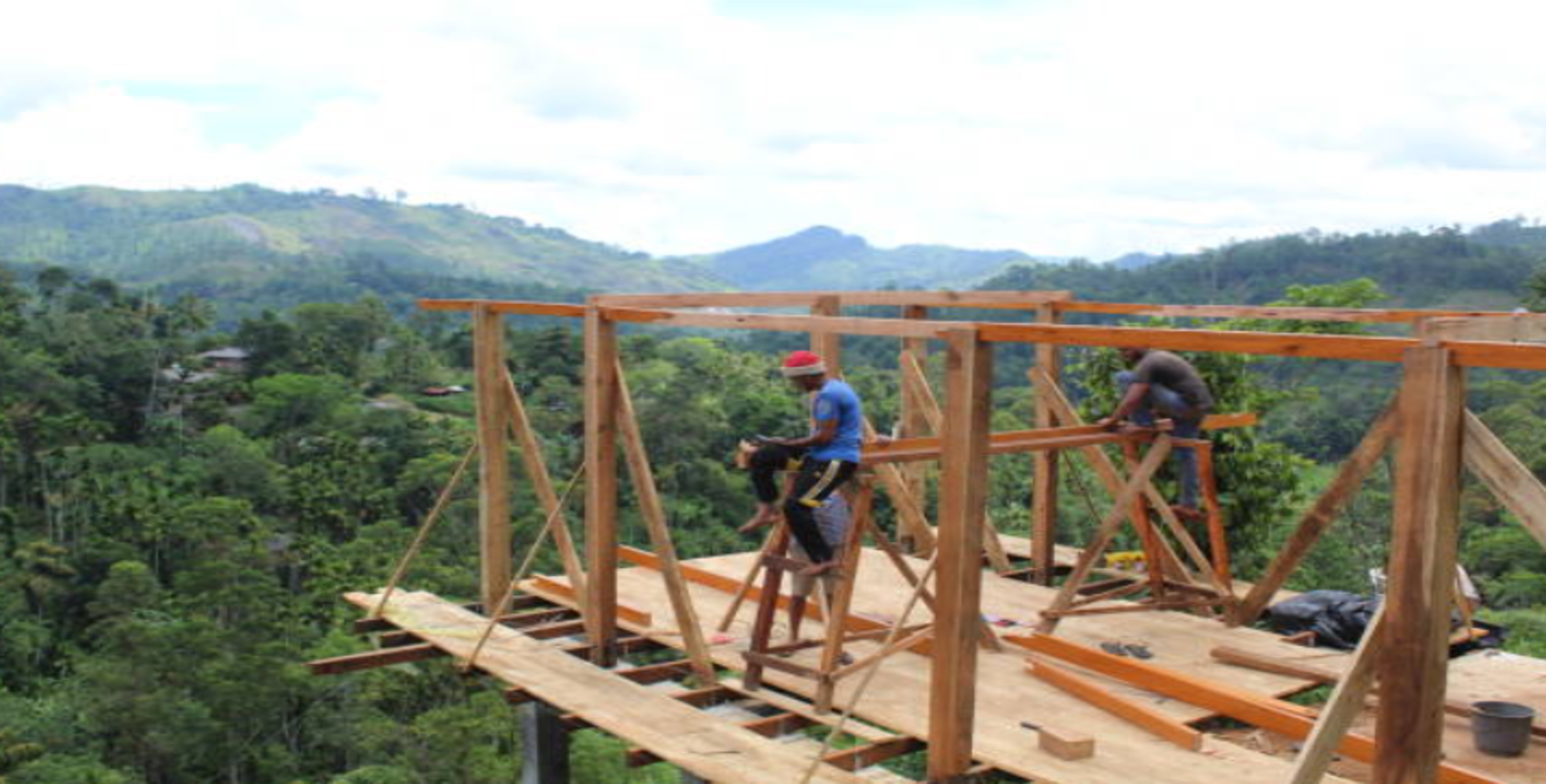 PMI Shows Rising Activity and Employment in Sri Lanka Construction