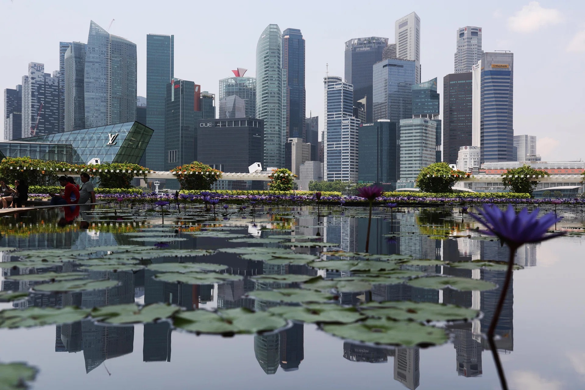 Singapore Introduces Greenwashing Guidelines to Promote Honest Environmental Claims