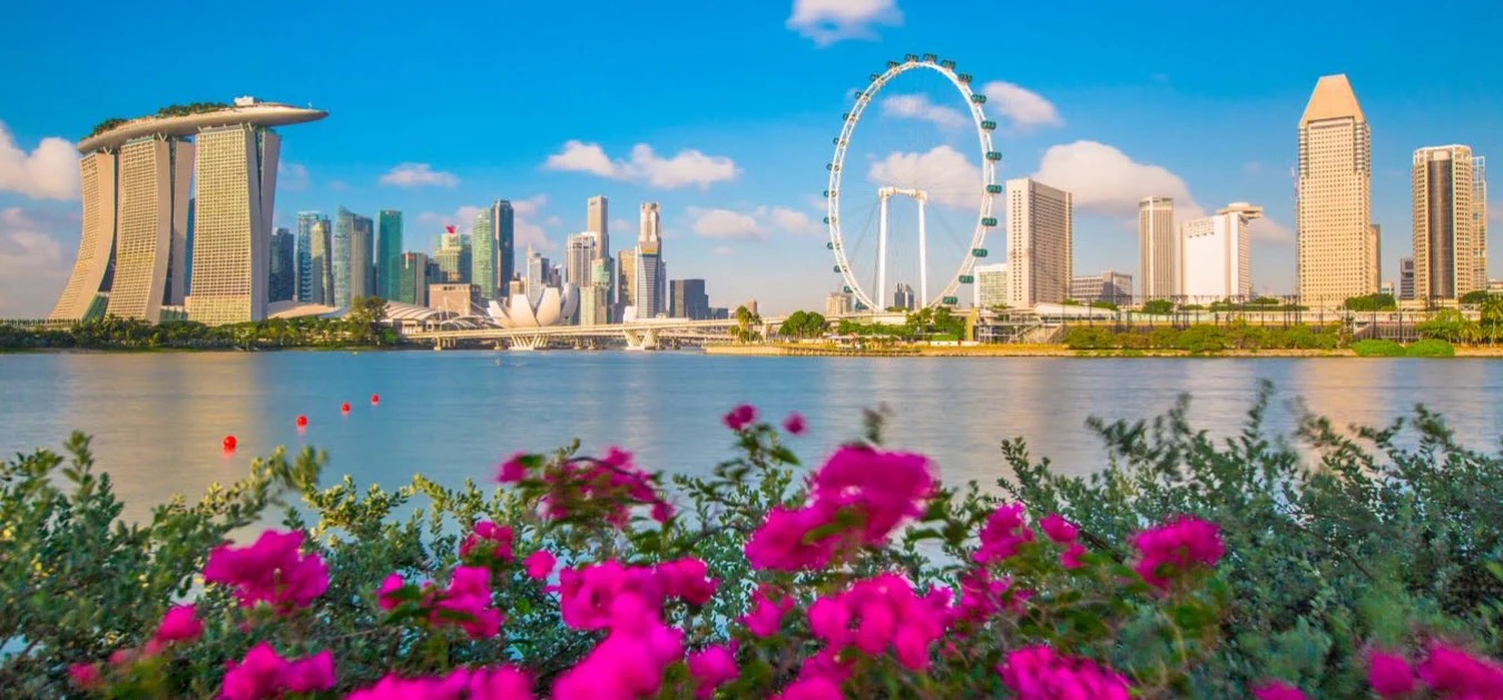 Singapore Law Firms See Surge in ESG Advisory Demand Amid New Regulations